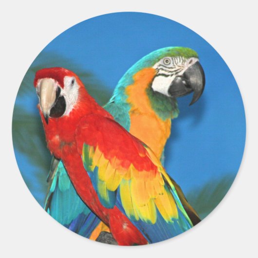 Parrots X Runder Aufkleber (Vorderseite)