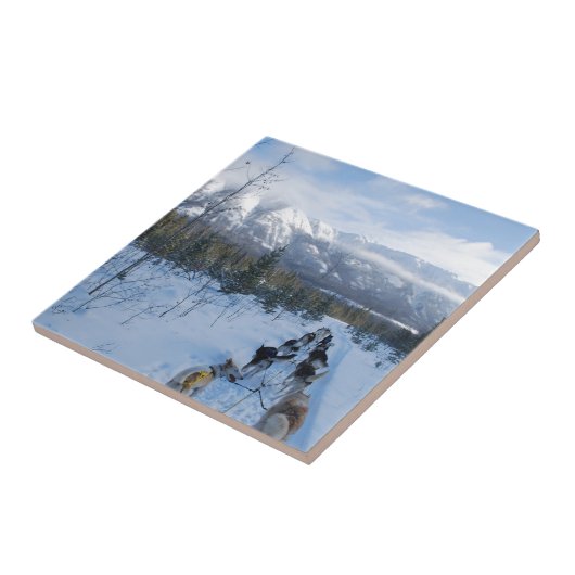 ParrotSleds - Landschaft Fliese (Seite)