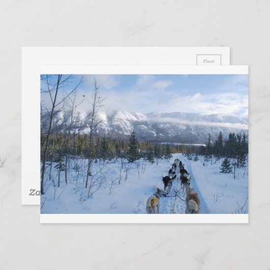 ParrotSleds - Landschaft Postkarte (Vorne/Hinten)