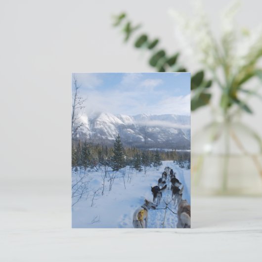 ParrotSleds - Landschaft Postkarte (Stehend Vorderseite)