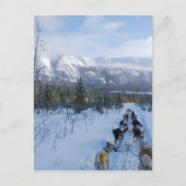 ParrotSleds - Landschaft Postkarte (Vorderseite)