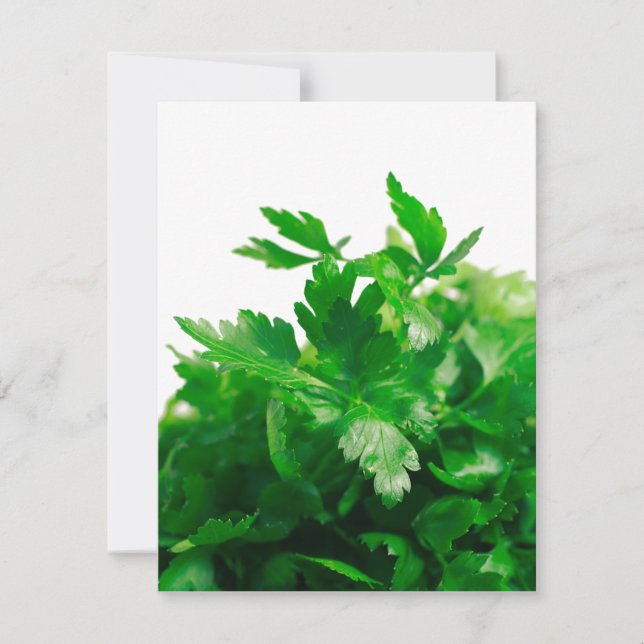 Parsley (Vorderseite)
