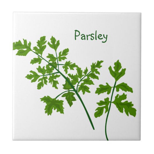 Parsley Herbs Kitchen Fliese (Vorderseite)
