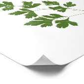 Parsley Illustration | Herbs Kitchen Wall Art Poster (Ecke)