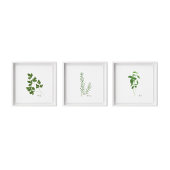 Parsley Illustration | Herbs Kitchen Wall Art Poster
