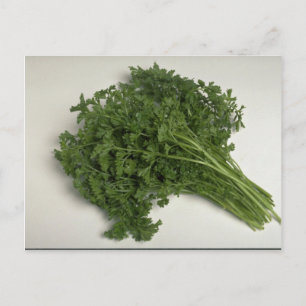 Parsley Postkarte