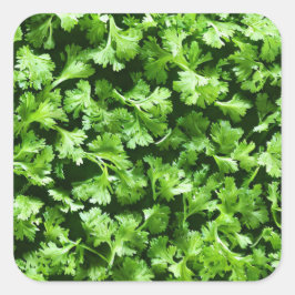 Parsley Quadratischer Aufkleber