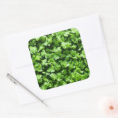 Parsley Quadratischer Aufkleber (Umschlag)