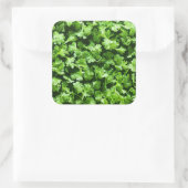 Parsley Quadratischer Aufkleber (Tasche)
