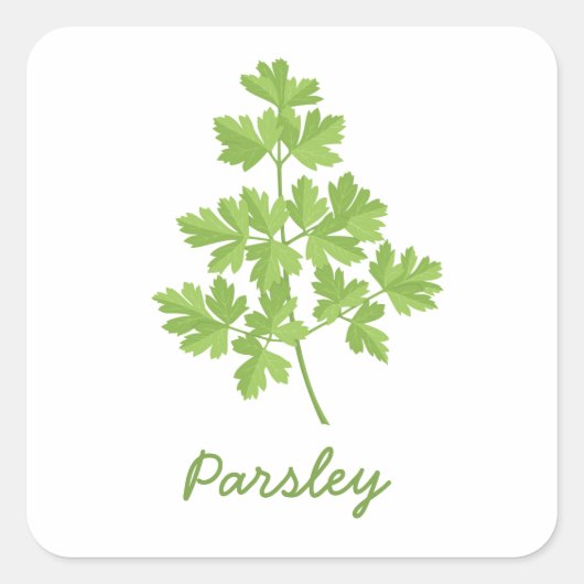 Parsley Quadratischer Aufkleber (Vorderseite)