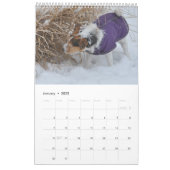 Parson Jack Russell Terrier Dog Calendar von Janz Kalender (Jan 2022)
