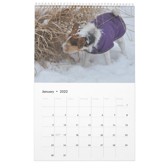 Parson Jack Russell Terrier Dog Calendar von Janz Kalender (Jan 2022)