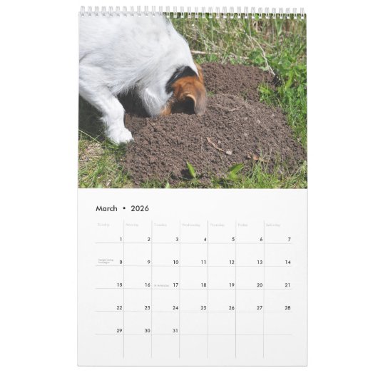 Parson Jack Russell Terrier Dog Calendar von Janz Kalender (Mär 2026)