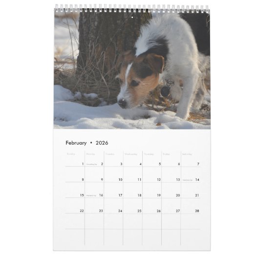 Parson Jack Russell Terrier Dog Calendar von Janz Kalender (Feb 2026)