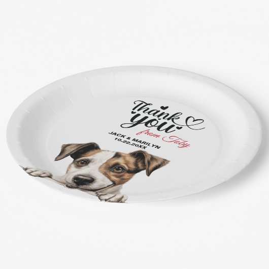 Parson Russell Terrier Pappteller (Schrägansicht)