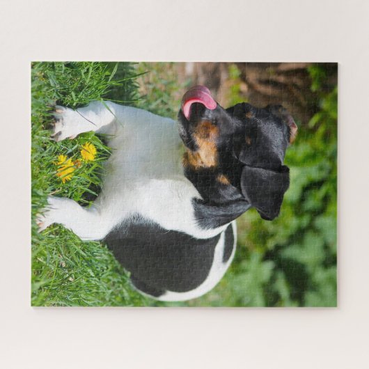 Parson Russell Terrier. Puzzle (Horizontal)