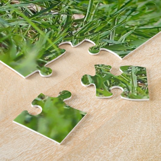 Parson Russell Terrier. Puzzle (Seite)