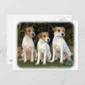 Parson Russell Terriers 9T016D-332 Postkarte (Vorne/Hinten)