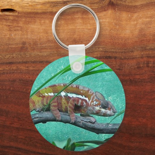 Parson's Chameleon Schlüsselanhänger (Vorderseite)