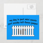 Part Mini Aussie Part Fence-Jumper Postkarte (Vorne/Hinten)