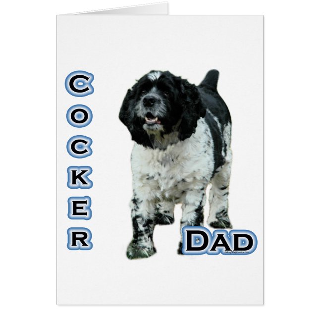 Parti Cocker Spaniel Vater 4 (Vorne)