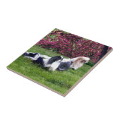 Parti-Color Pekingese Hunde Fliese (Seite)