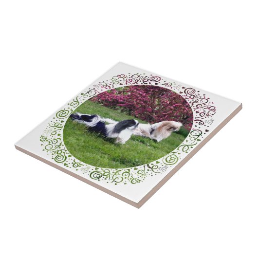 Parti-Color Pekingese Hunde Fliese (Seite)