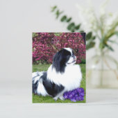 Parti-Color Pekingese Hunde Postkarte (Stehend Vorderseite)