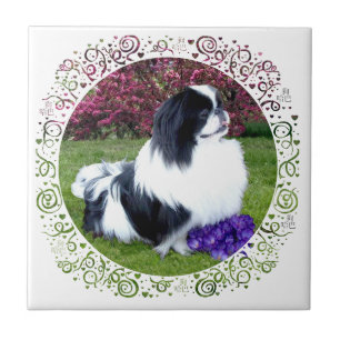 Parti-Farbige Pekinesen Hunde Fliese