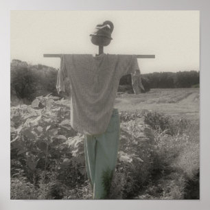 Partielle Farbe der Gartenschnecke Poster