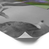 Partielle Rote Libelle Poster (Ecke)