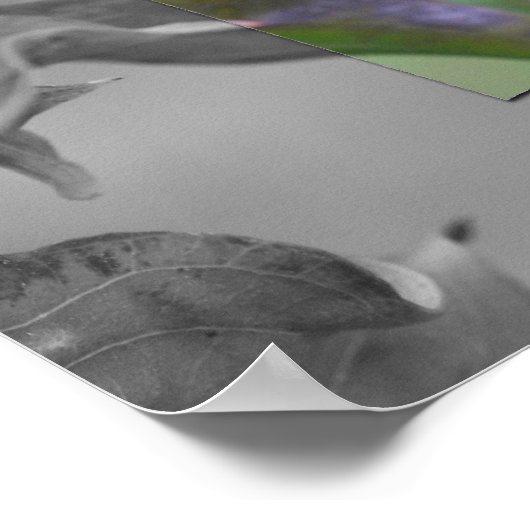 Partielle Rote Libelle Poster (Ecke)