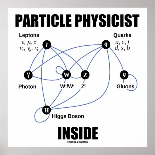 Partikel Physiker Inside (Standardmodell Higgs) Poster (Vorne)