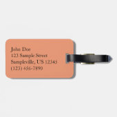 Partition Arch at Arches Nationalpark Gepäckanhänger (Rückseite horizontal)