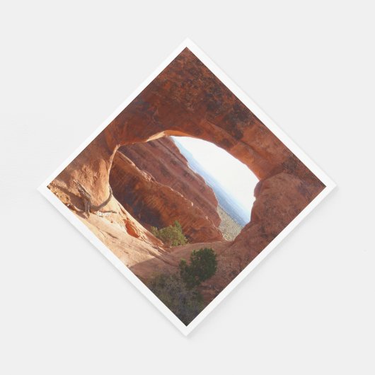 Partition Arch at Arches Nationalpark Serviette (Ecke)