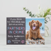 Partner von Crime Twin Baby Family Hunde Schwanger Ankündigung (Stehend Vorderseite)