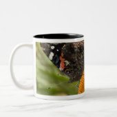 Partnerschaft, symbiotisch, helfend Schönheit, Zweifarbige Tasse (Links)