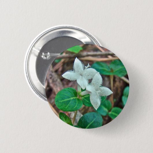 Partridge Berry Wildblume Button (Vorne & Hinten)