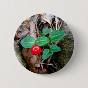 Partridge Berry Wildblume Button