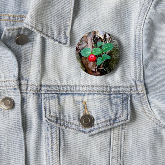 Partridge Berry Wildblume Button (Beispiel)
