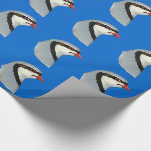 Partridge: Chukar Head Geschenkpapier (Ecke)