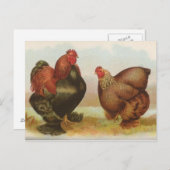 Partridge Cochins Postkarte (Vorne/Hinten)