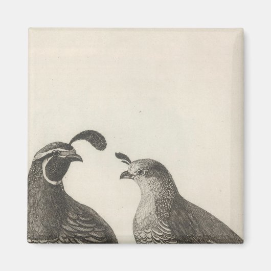 Partridge für Männer und Frauen in Kalifornien Magnet (Vorne)