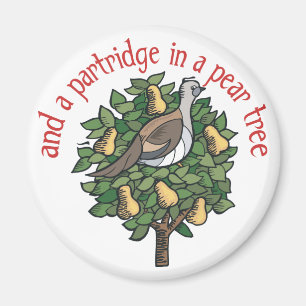Partridge in einem Birnenbaum Magnet