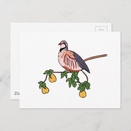 Partridge in einem Birnenbaum Postkarte (Vorne/Hinten)