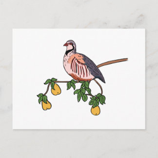 Partridge in einem Birnenbaum Postkarte