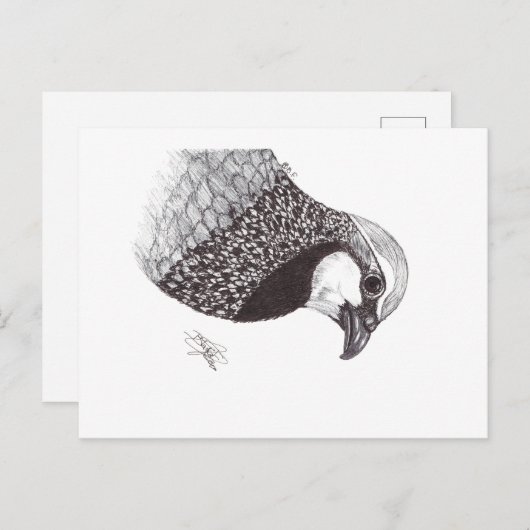 PARTRIDGE POSTKARTE (Vorne/Hinten)