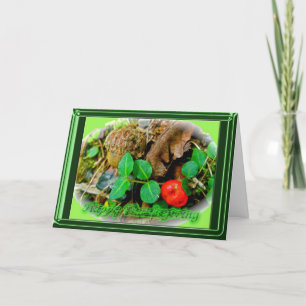 Partridgebry Happy Thanksgiving Card Feiertagskarte