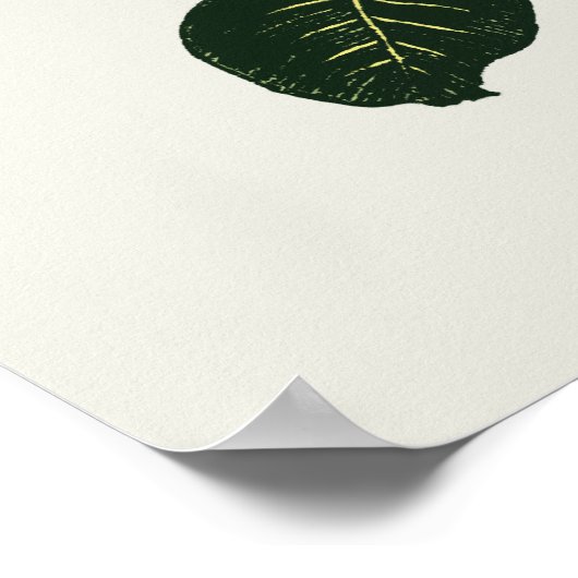 Partridgebry Poster (Ecke)