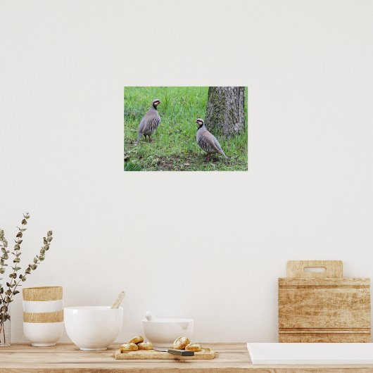 Partridges Poster (Küche)